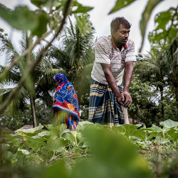 With education, advice and training support, this couple in Bangladesh are growing more nutritious foods.