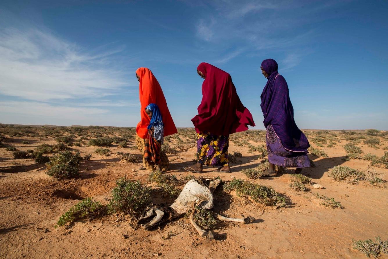 Villagers walking pass the remains of a dead goat, a result of a nearly four-year-long drought