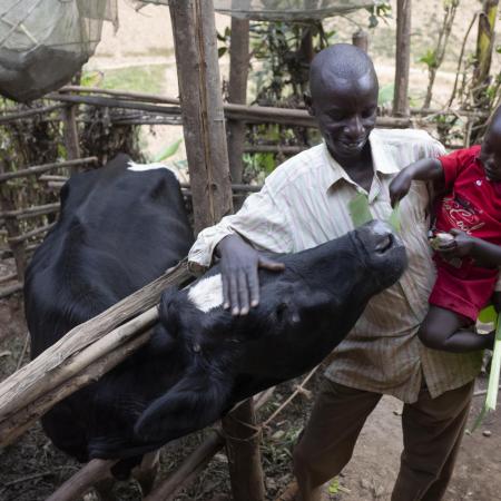 A man holds his son to pet a cow.