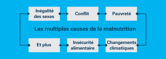 Les multiples causes de la malnutrition