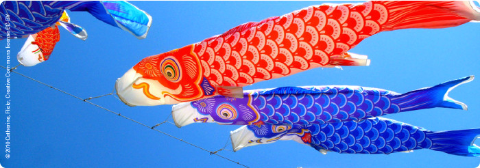 kites