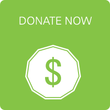 Donate now