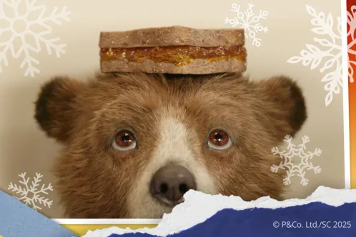 Cartes postales de Paddington