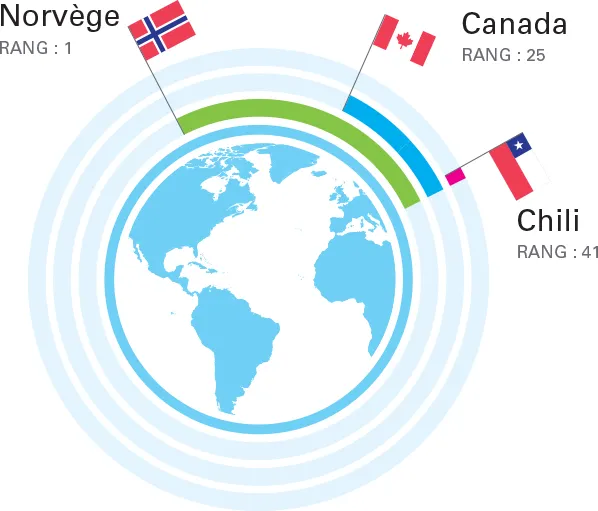 globe infographic