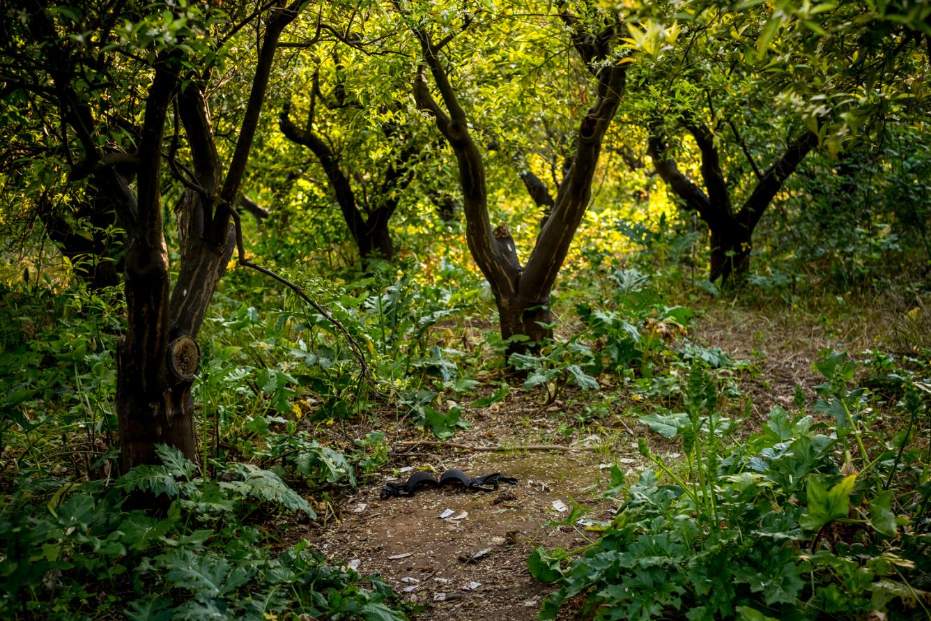 a clearing littered with condoms in a forest clearing used by prostitutes