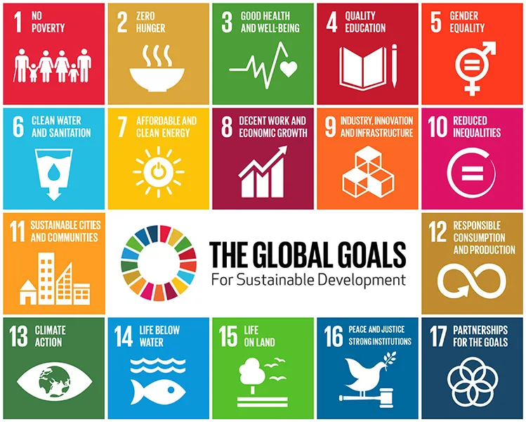 The new Global Goals