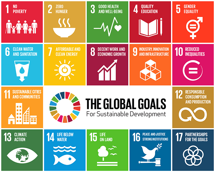 The new Global Goals