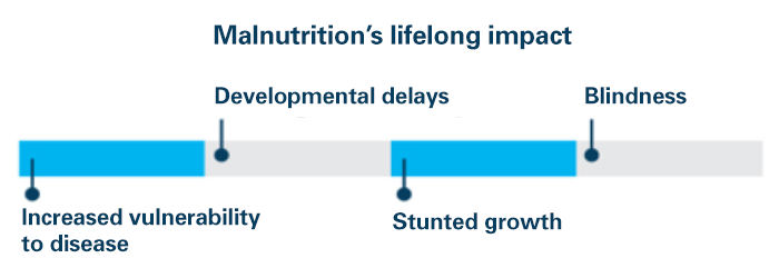 causes and effects of malnutrition