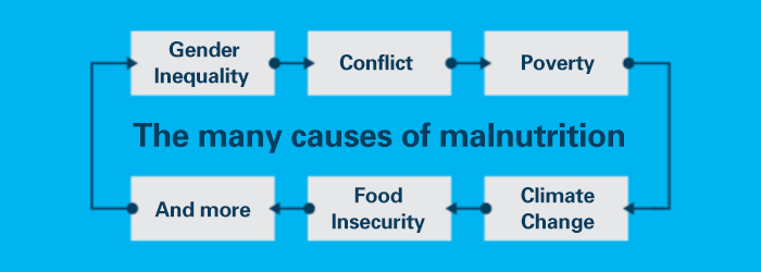The causes of malnutrition: Gender Inequality, Conflict, Poverty, Climate Change, Food Insecurity and more.