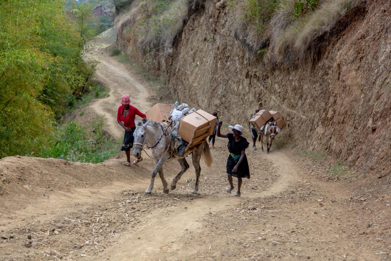 Des femmes et des jeunes transportent des cartons remplis de matériels scolaires a dos de mulet, de Les Irois à Galette Cotonnier dans la Grand’Anse.