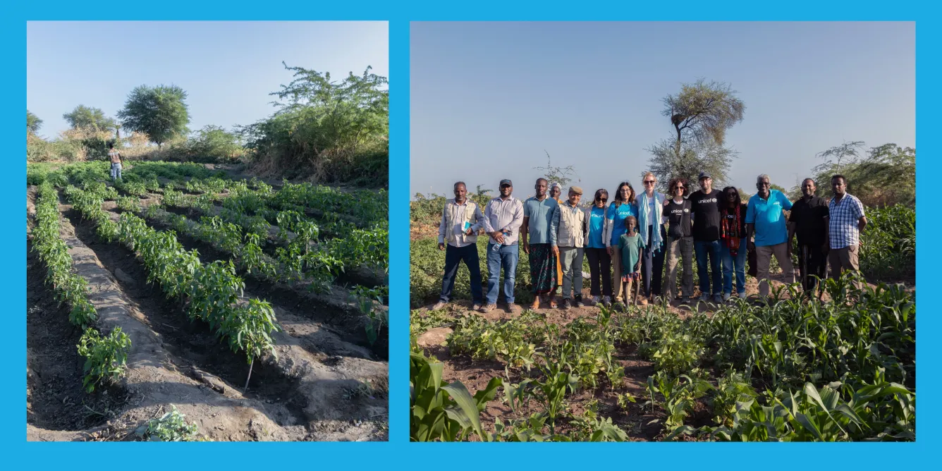 Left: A person walks through rows of crops in a small, green agricultural field. Right: A group of people stands together outdoors in a cultivated field, surrounded by plants and trees.