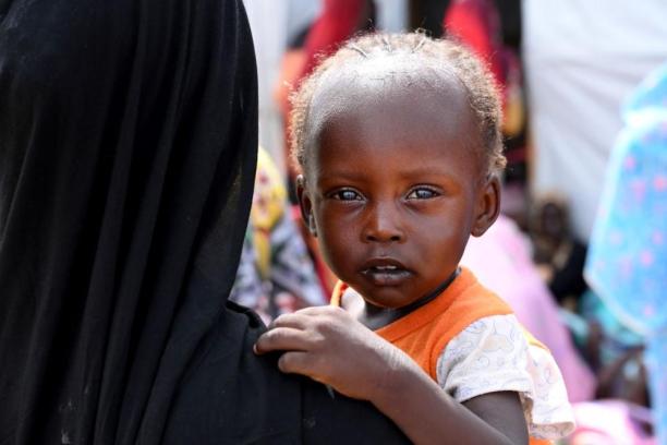 Portrait of a young child looking at the camera over an adult’s shoulder with a neutral expression.