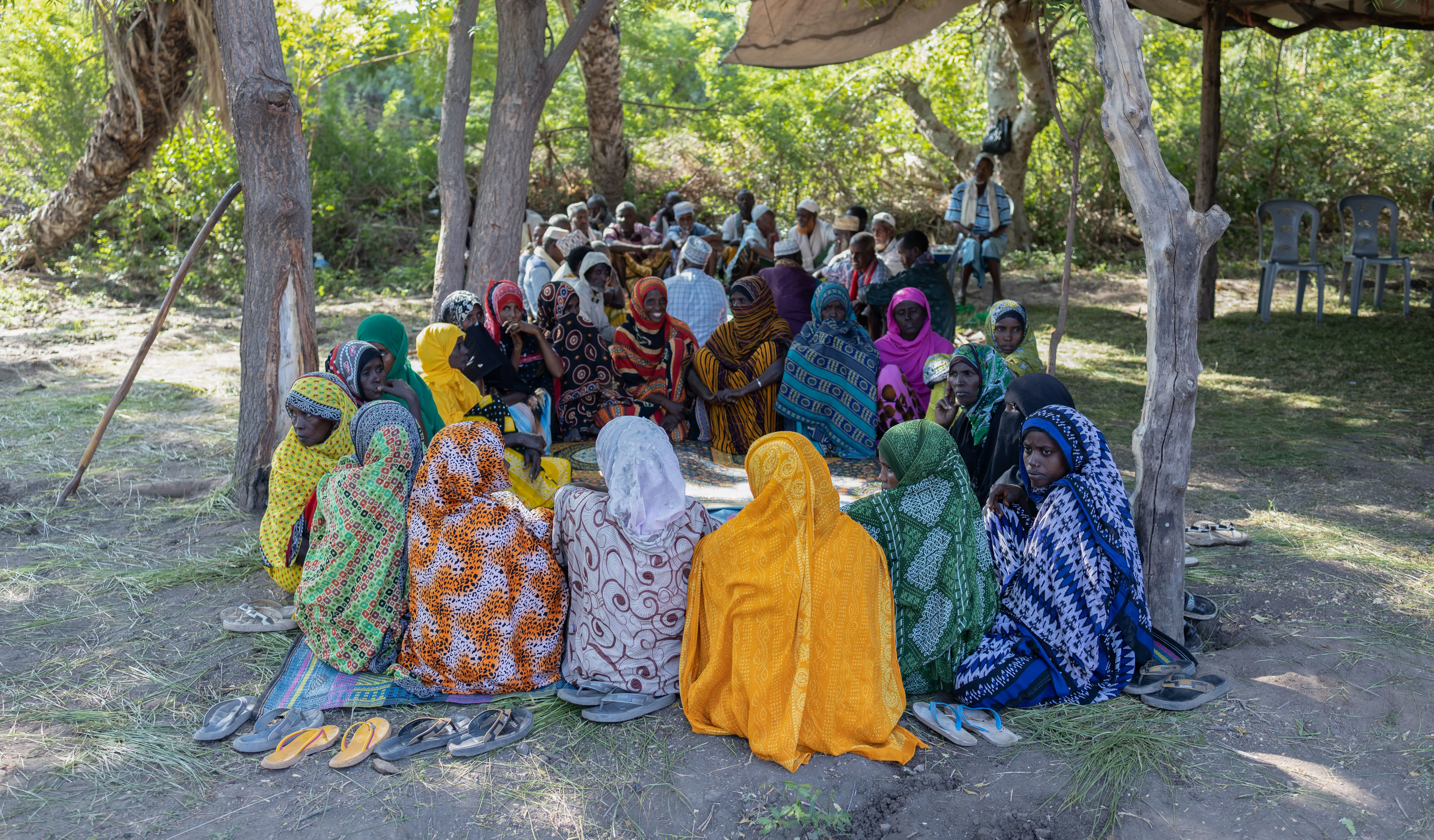 A group of women in colourful clothing sit under the shades of trees and a makeshift shade cover. 