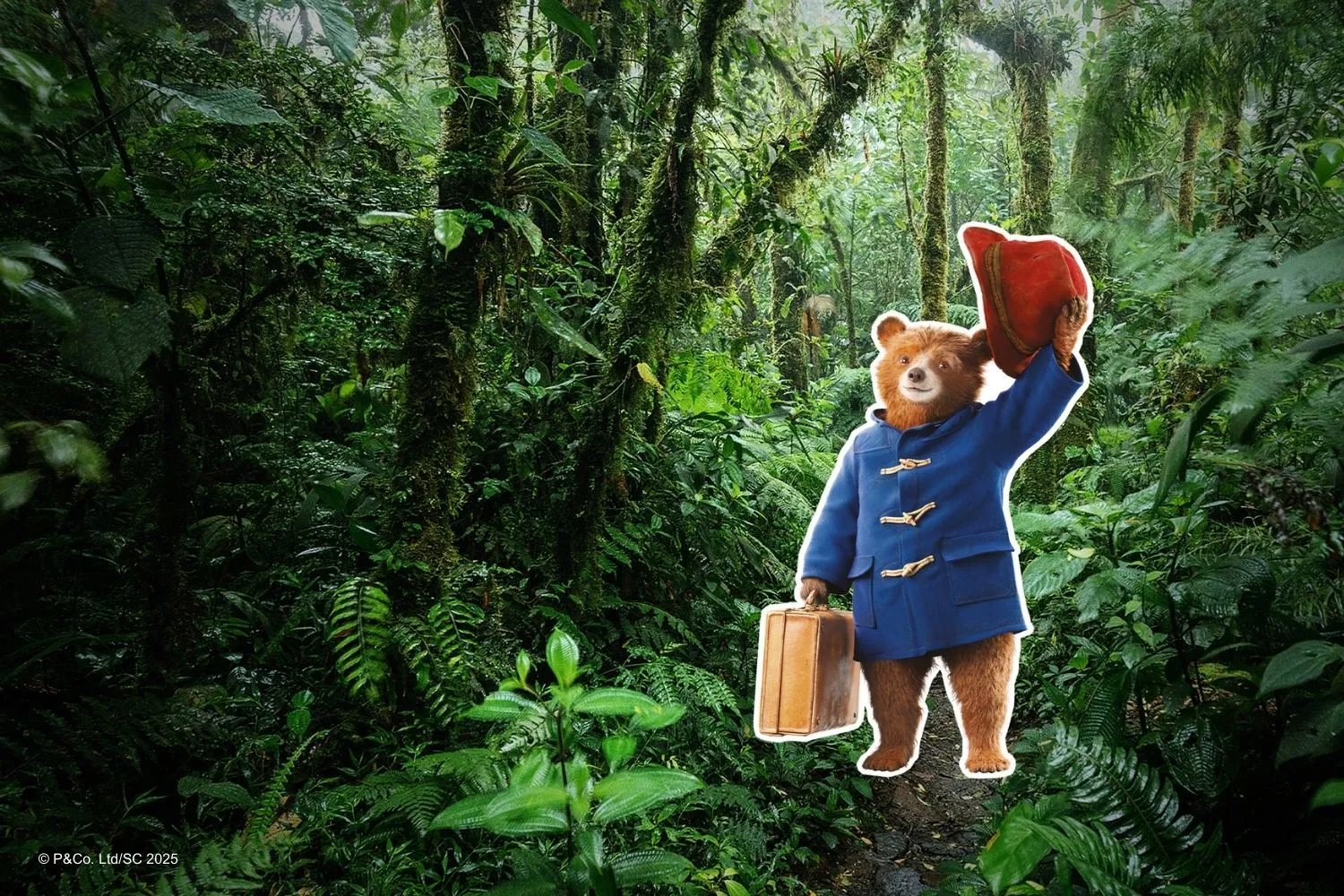 Paddington in Peru 