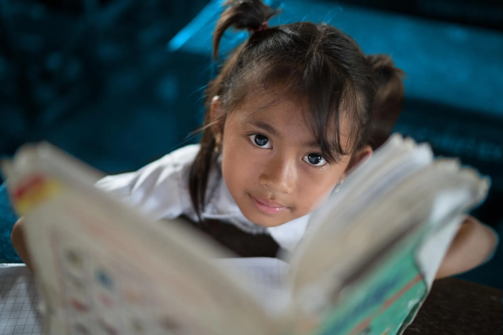 Girl reading a book