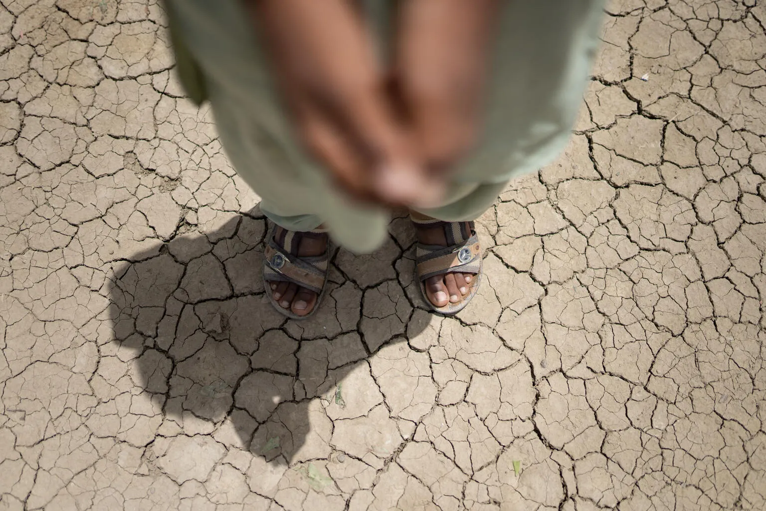 Almost half a billion children live in areas experiencing at least twice as many extremely hot days as their grandparents – UNICEF
