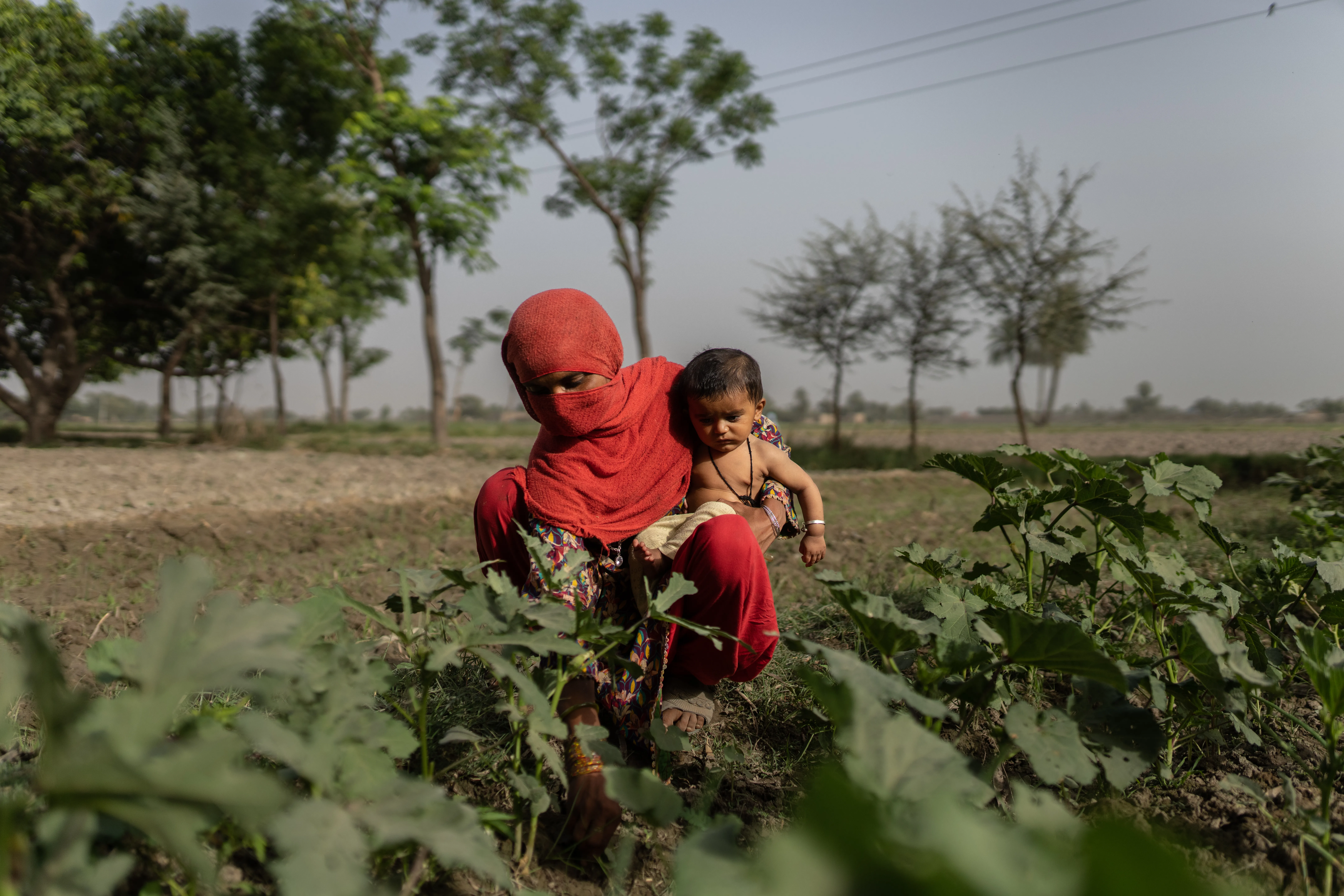 A mother works in the fields with her six-month baby in South Punjab Province.