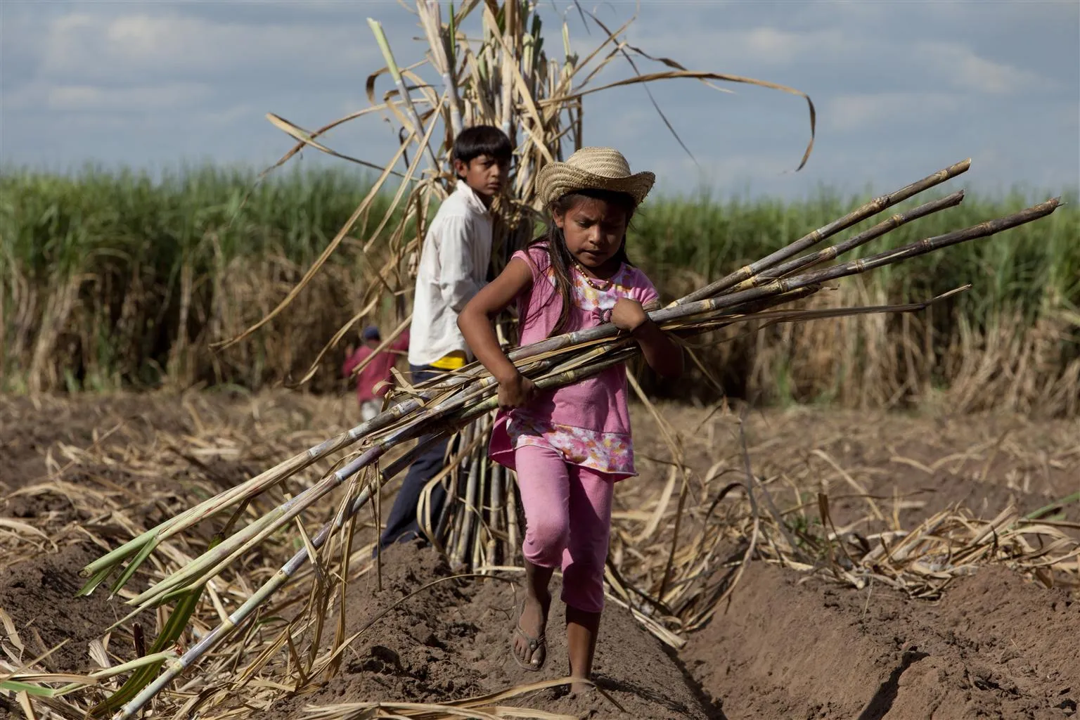 Two children in a field