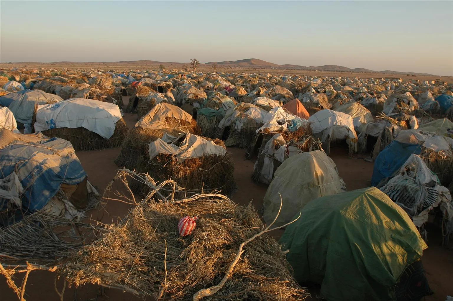 A vast refugee camp with numerous makeshift tents made of branches and tarps, under a clear sky. 