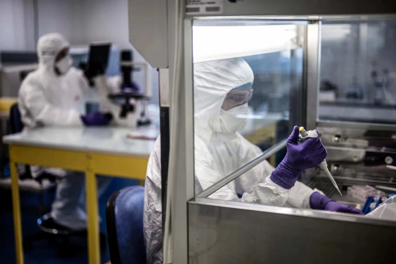 Scientists are at work in the VirPath university laboratory, classified as "P3" level of safety.