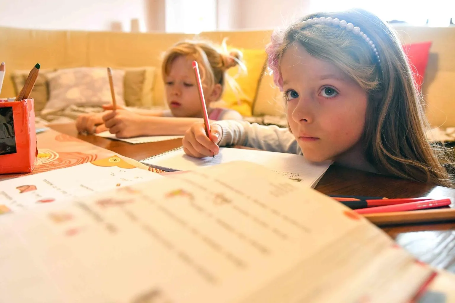 Skopje, 24 March 2020: Twins Ana (7) and Kaja (7) follow the TV-classroom programme with the same level of seriousness they usually do when at school.