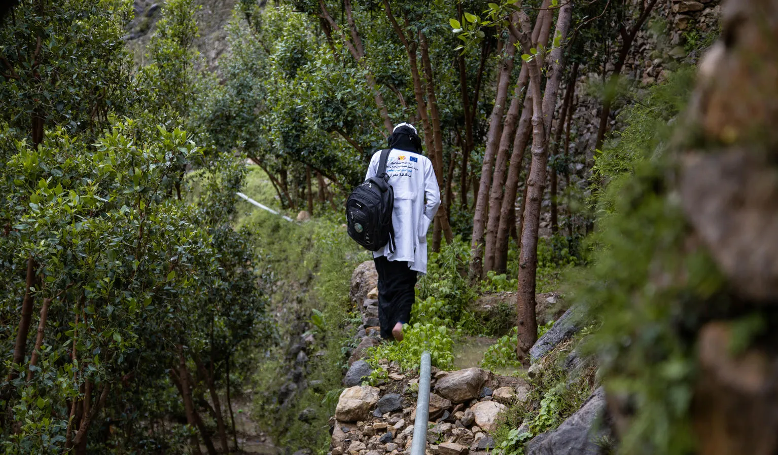 Saba walks up a stone path.