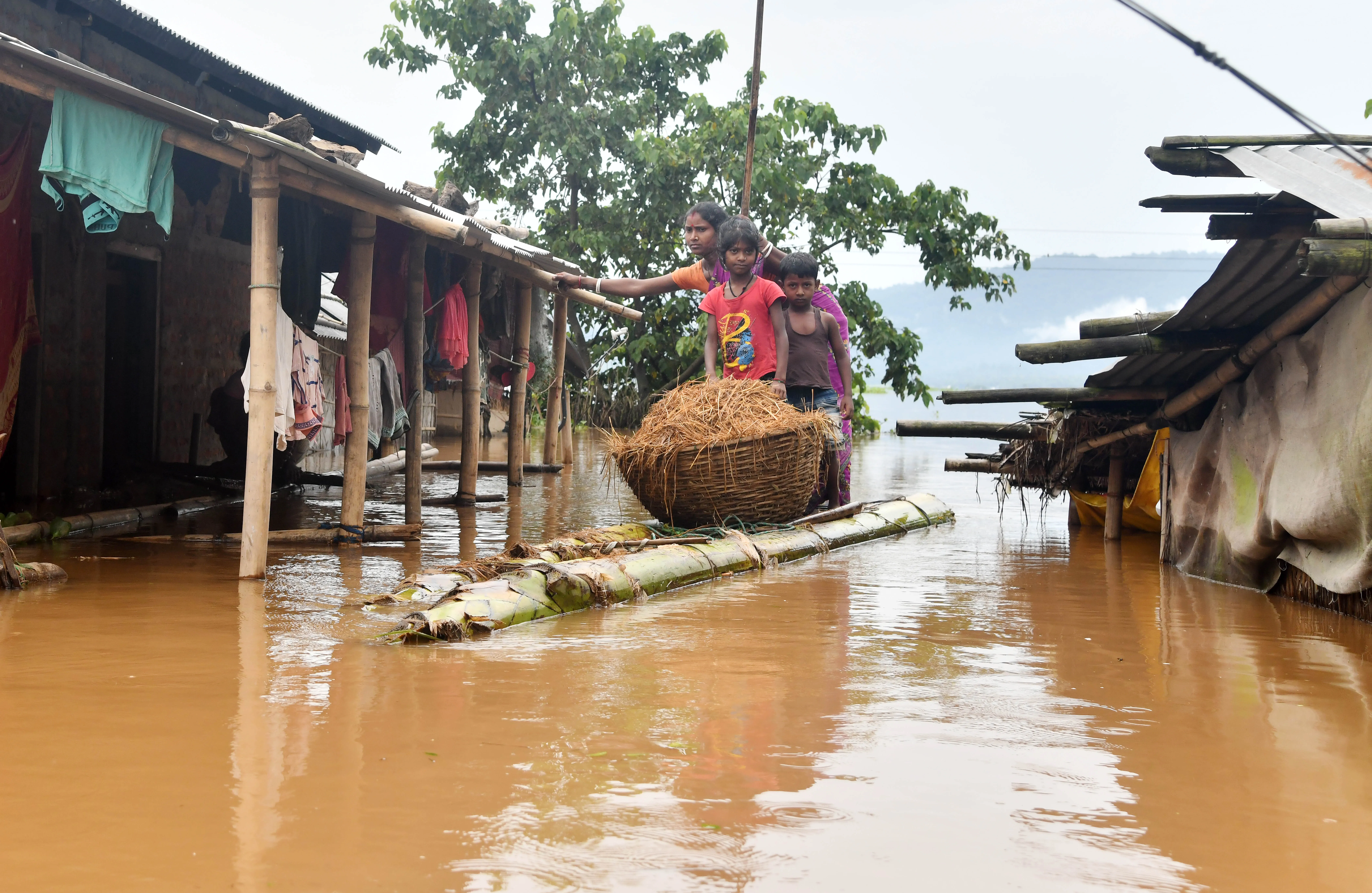 A woman carries straw for her cattle on a raft through flood waters at Sarumariparvat village in Morigaon district on July 22, 2020. Photo by Biju Boro