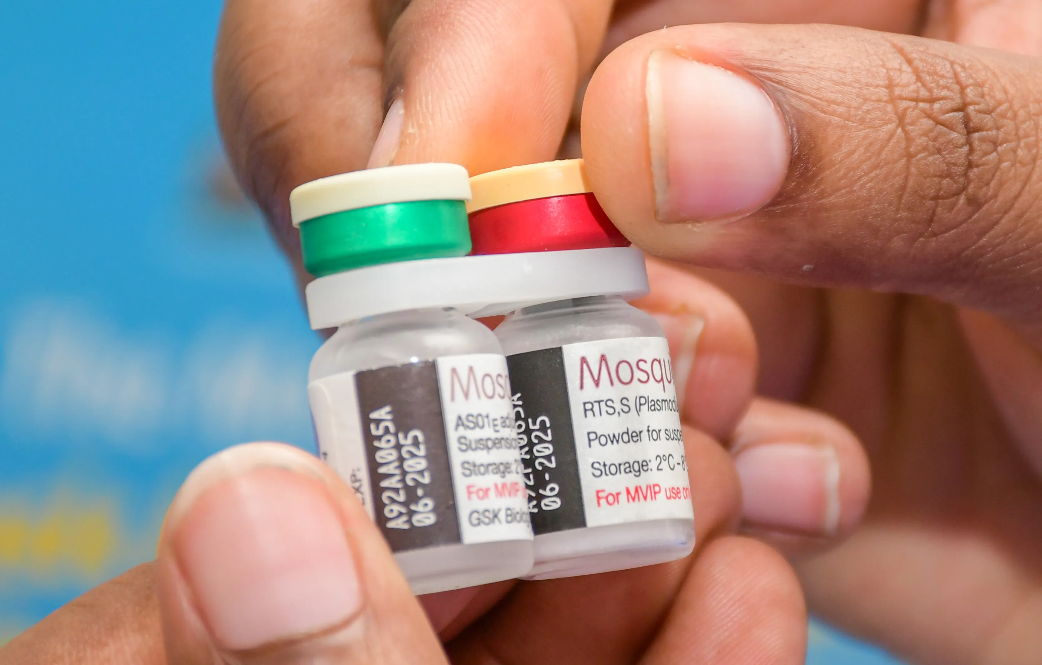 A close up shot of a hand holding two vials of the malaria vaccine