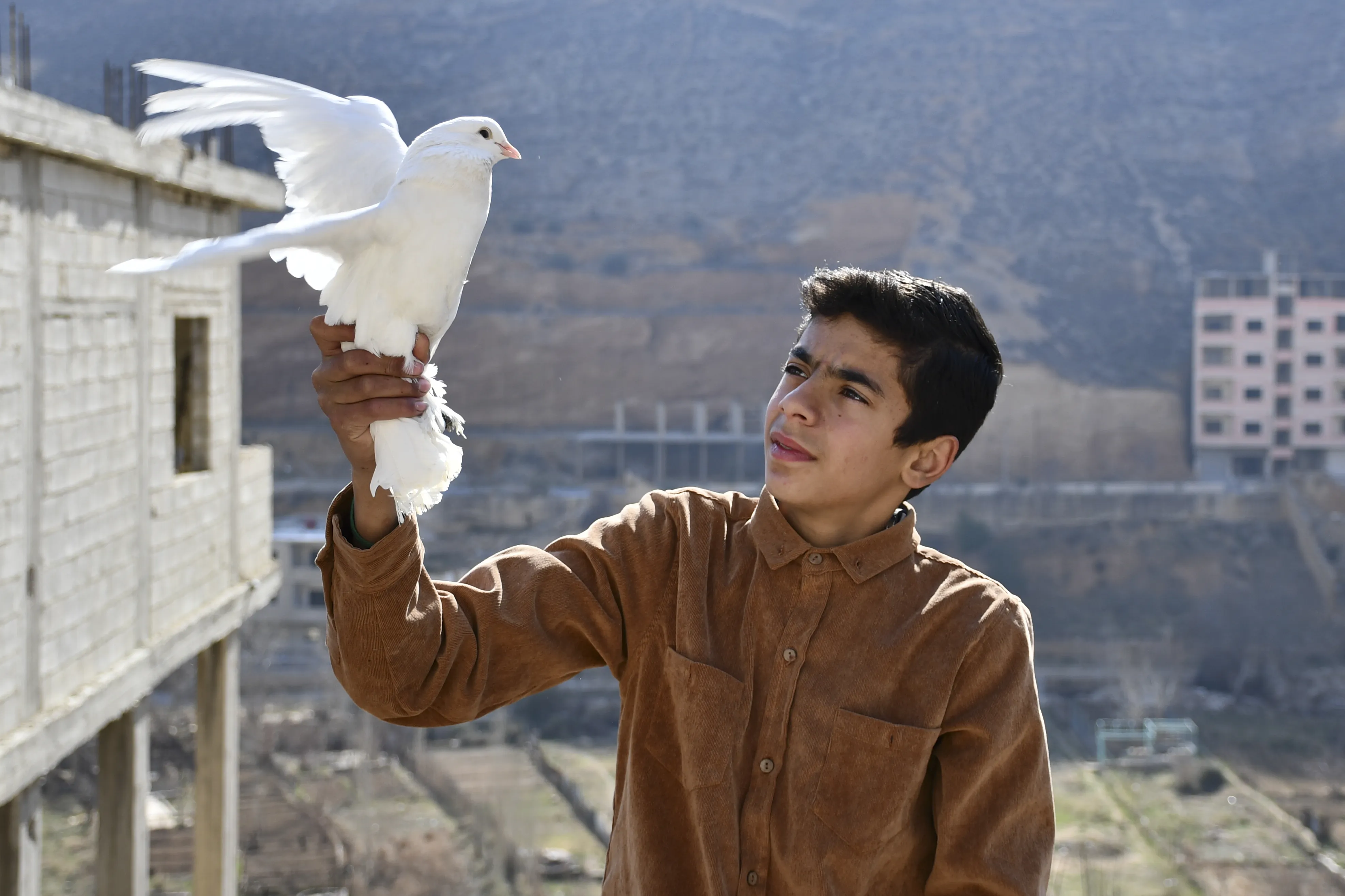 Mohammed, 15, gently holds a bird he has raised on the roof of his home in Bseimeh village, Rural Damascus, Syria