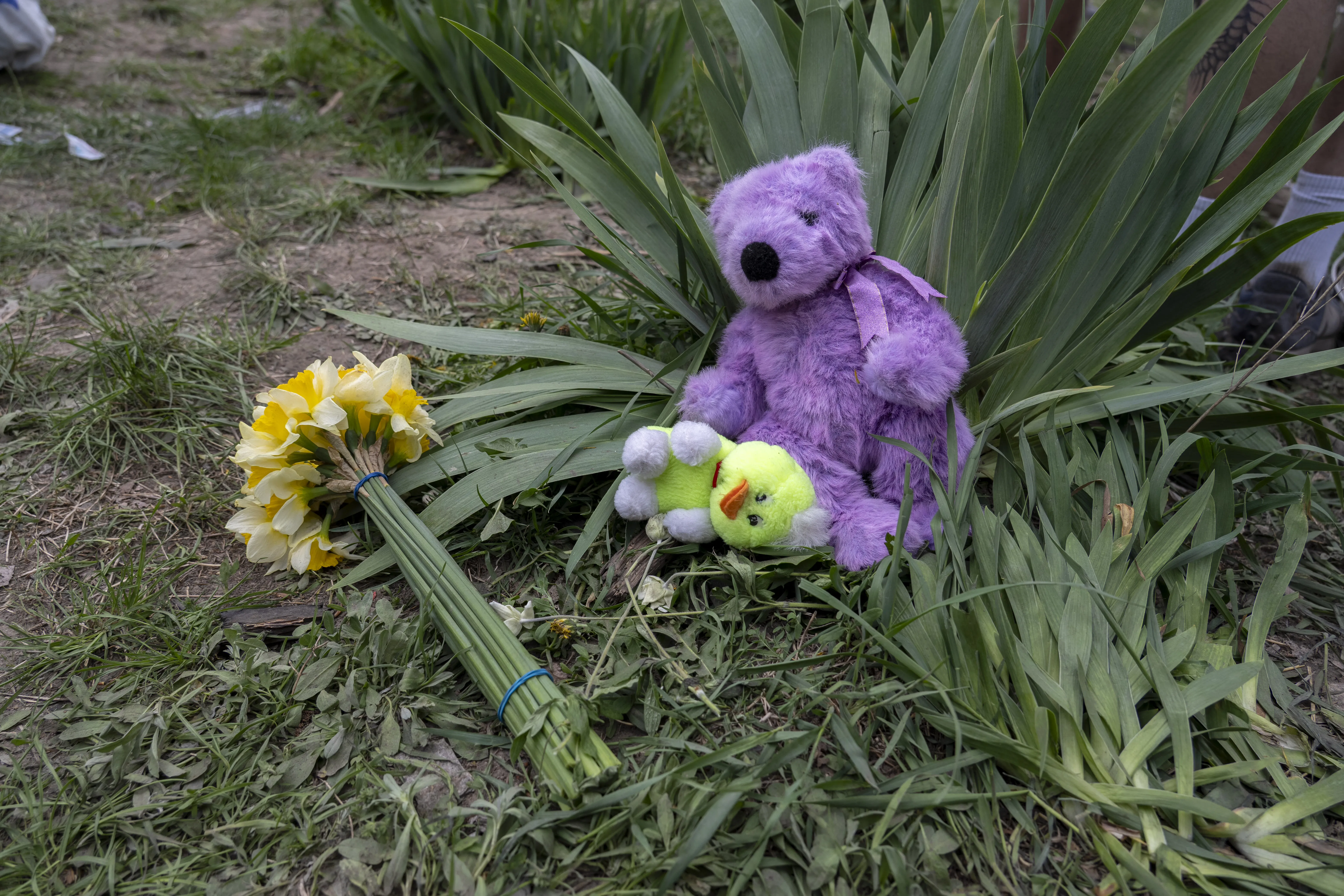 A bouquet of yellow flowers and soft toys lie on the ground near the site of a missile strike, left in memory of the children killed in the early morning attack.