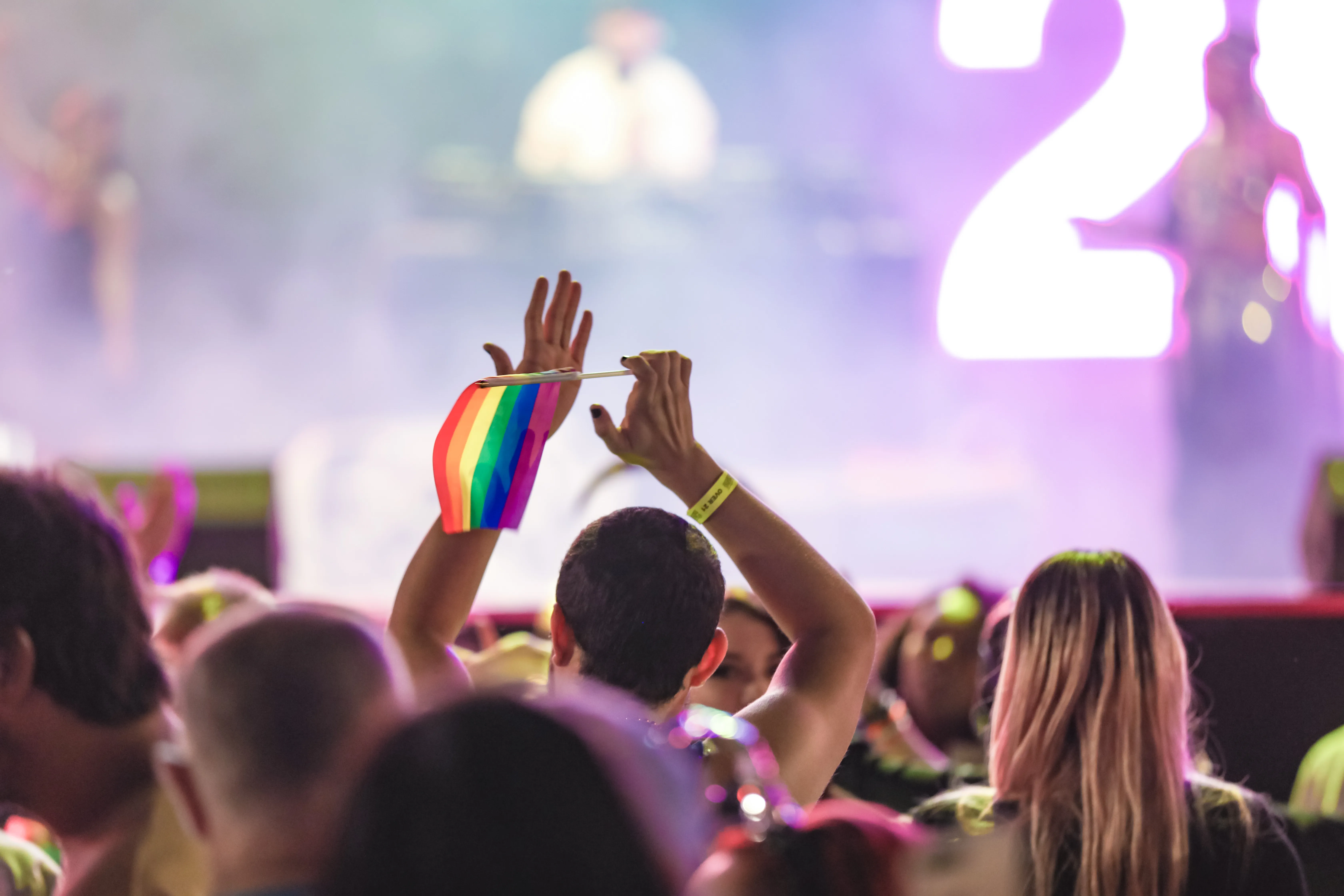 A crowd cheering and dancing at a Pride Festival. 