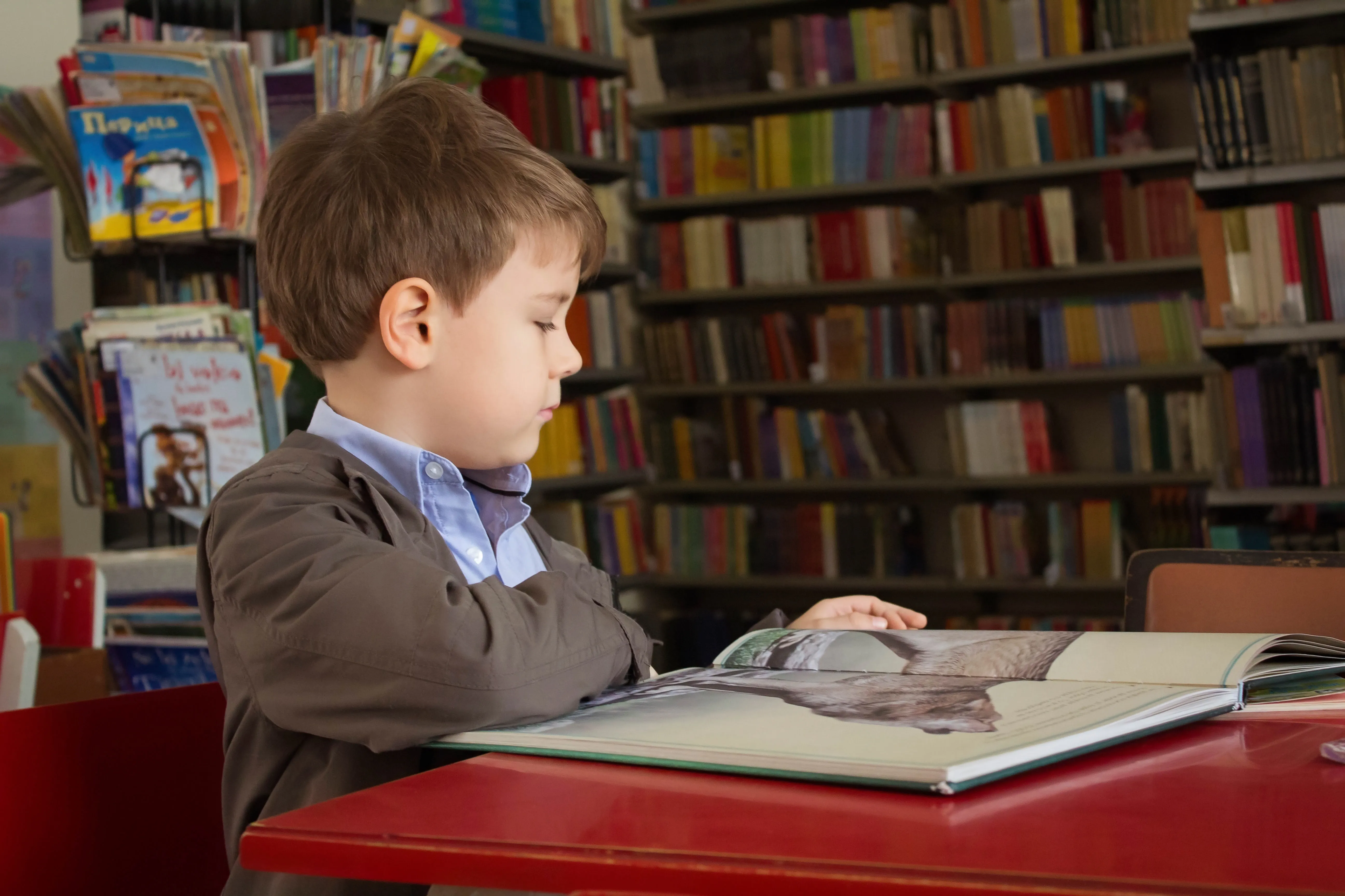 Boy reading in a library