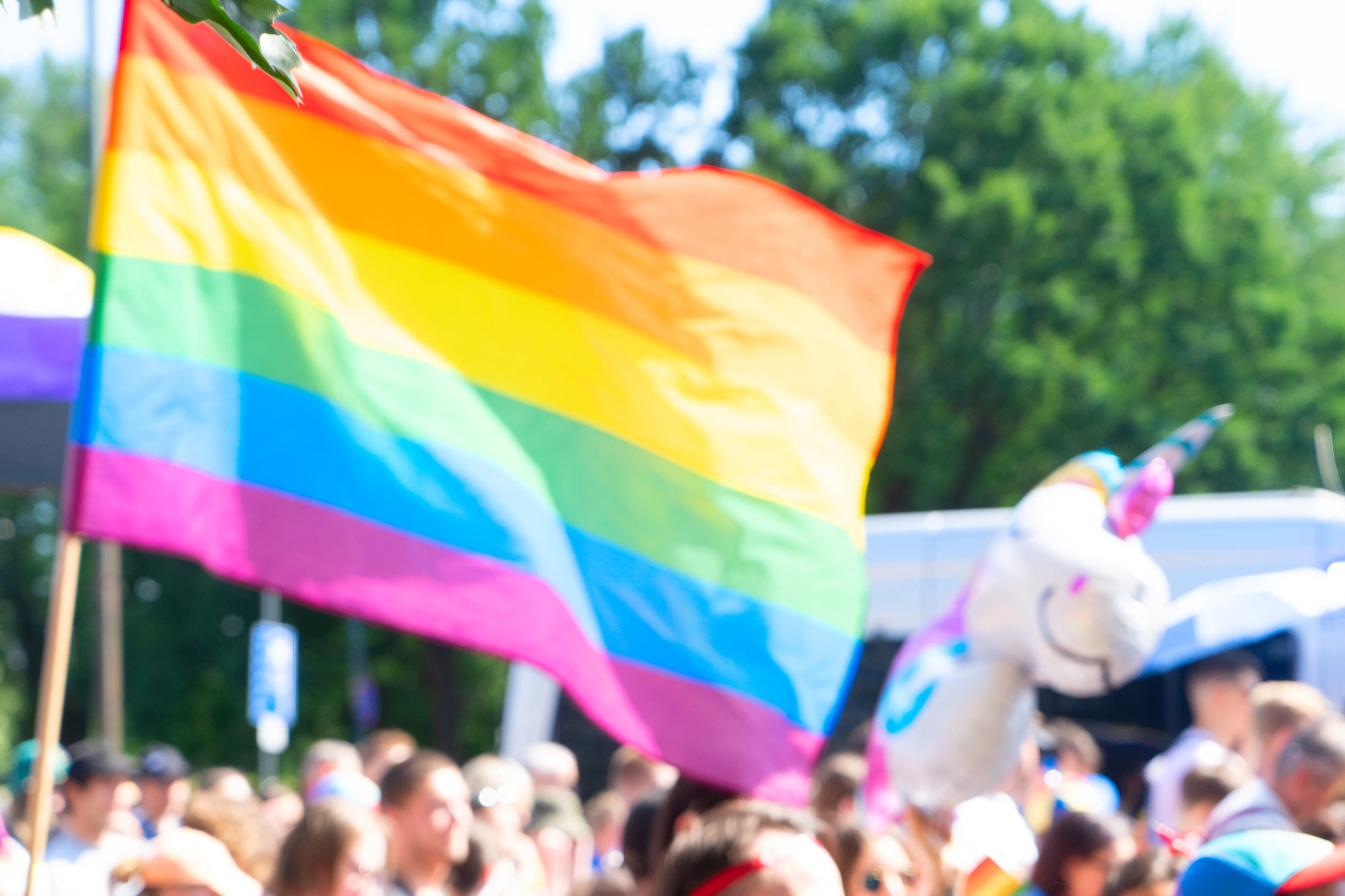 A picture of pride flag at a pride march. 