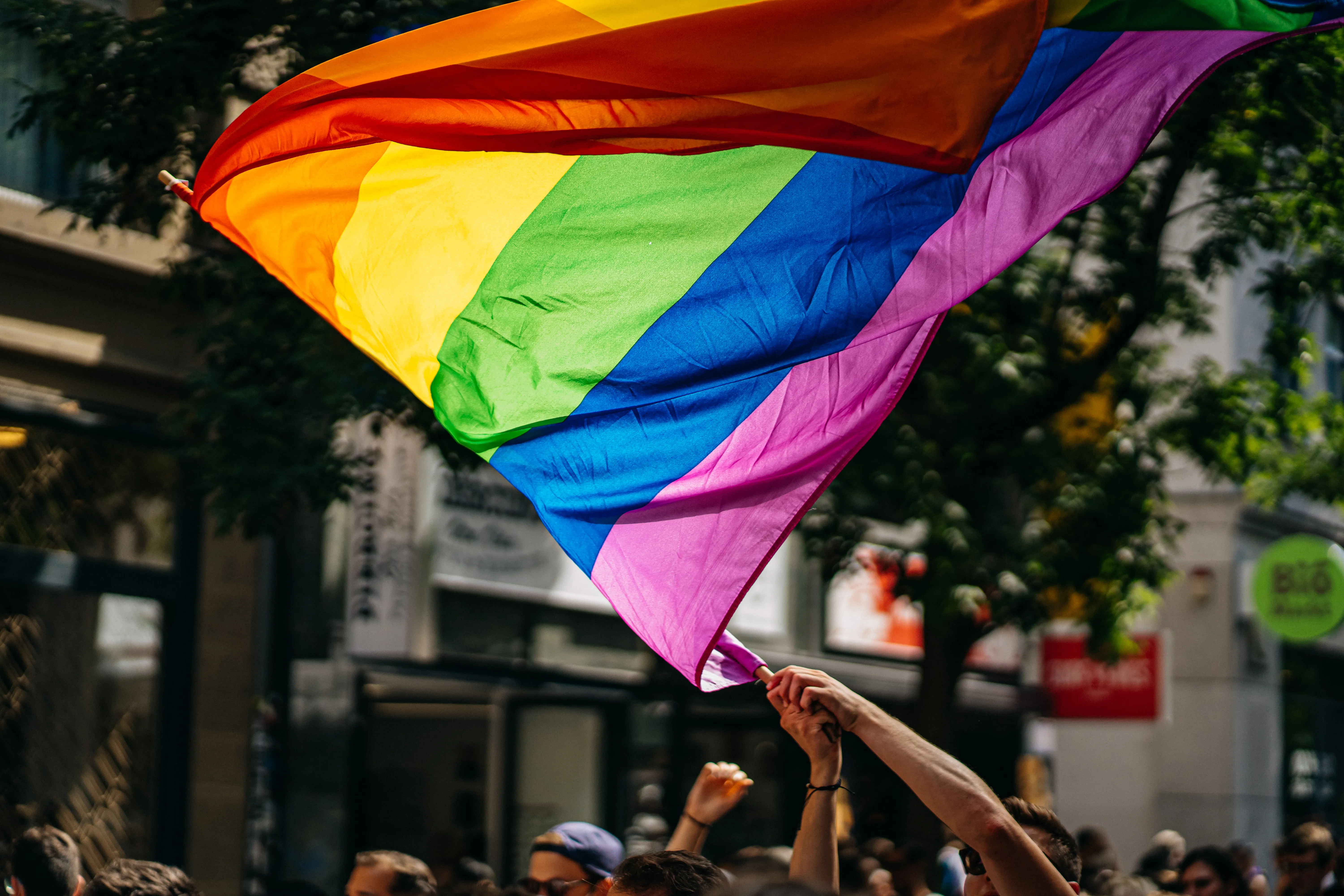 The Reality of Pride 