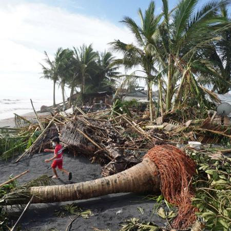 A child plays next to uprooted coconut and banana trees in the coastal town of Dulag in Leyte province on December 17, 2021, a day after Super Typhoon Rai hit.