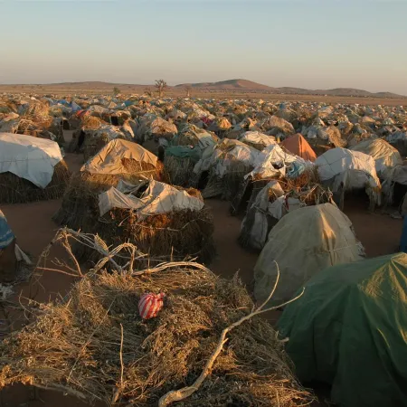 A vast refugee camp with numerous makeshift tents made of branches and tarps, under a clear sky. 