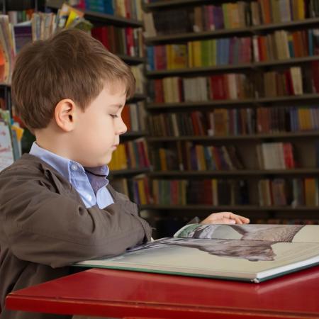 Boy reading in a library