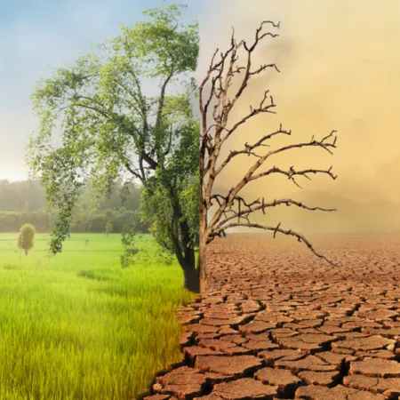 A single tree in a landscape is divided: the left side lush and green, the right side dry and barren with cracked ground, symbolizing climate change.