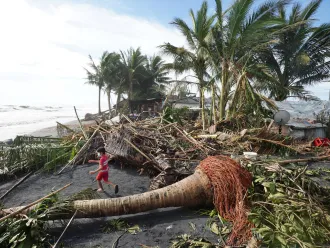 A child plays next to uprooted coconut and banana trees in the coastal town of Dulag in Leyte province on December 17, 2021, a day after Super Typhoon Rai hit.