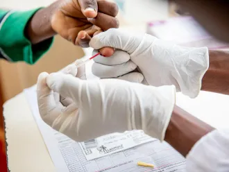 A close up of a child's hand being pricked by a medical professional's hands who is wearing white latex gloves. 