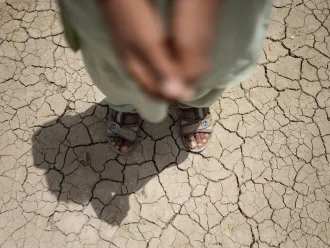 Almost half a billion children live in areas experiencing at least twice as many extremely hot days as their grandparents – UNICEF