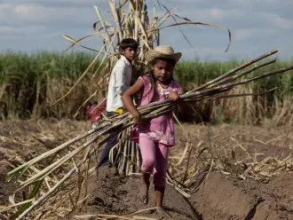 Two children in a field