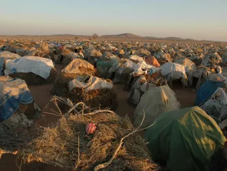A vast refugee camp with numerous makeshift tents made of branches and tarps, under a clear sky. 